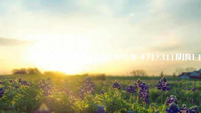 怎么看待北京日报2025年4月23日阴阳王励勤樊振东的若干条rs？